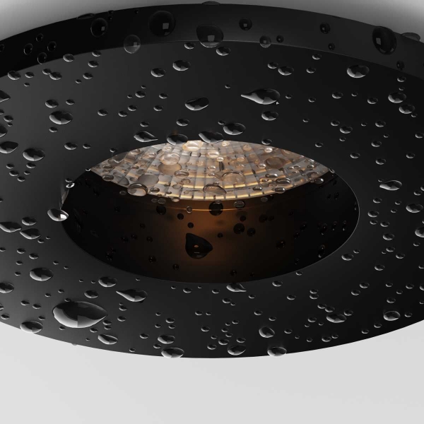 Уличный потолочный светильник Maytoni Outdoor Cove O511DL-L2B3K