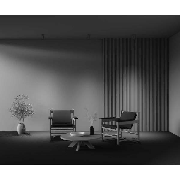 Потолочный светильник Maytoni Technical Ceiling FOCUS LED C056CL-L12W3K-W-PT