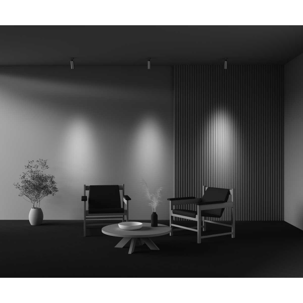 Потолочный светильник Maytoni Technical Ceiling FOCUS LED C055CL-L12W3K-W-PT