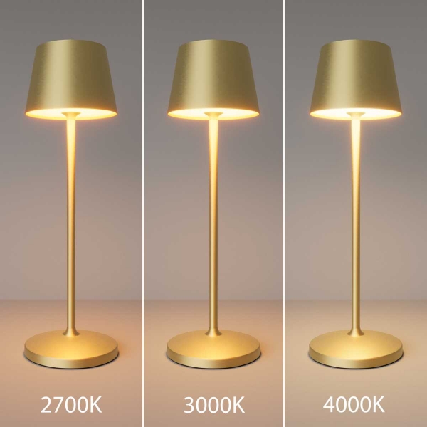Настольная аккумуляторная лампа Maytoni Modern Nook MOD494RL-L1BSK