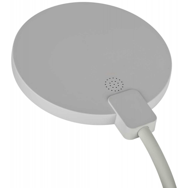 Настольная лампа ЭРА NLED-501-10W-W Б0059839