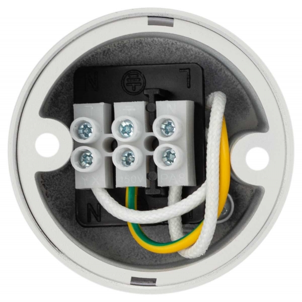 Настенно-потолочный светильник ЭРА OL50 WH Б0059802