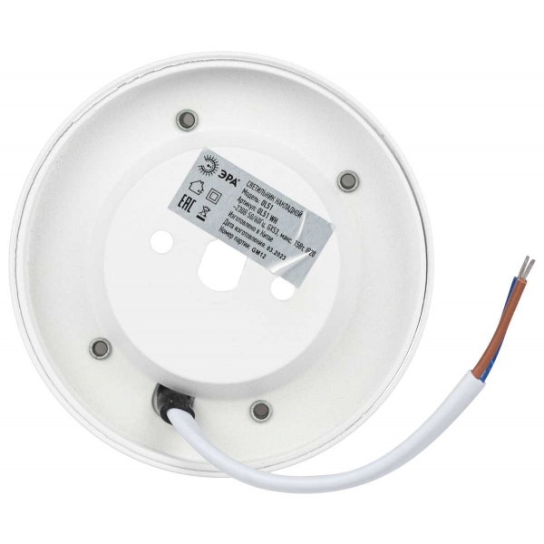 Настенно-потолочный светильник ЭРА OL51 WH Б0059804