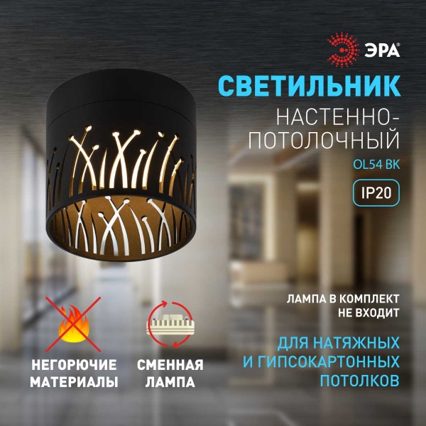 Настенно-потолочный светильник ЭРА OL54 BK Б0061192
