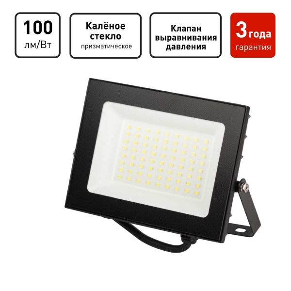 Прожектор светодиодный уличный ЭРА PRO LPR-062-0-65K-050 Б0064625
