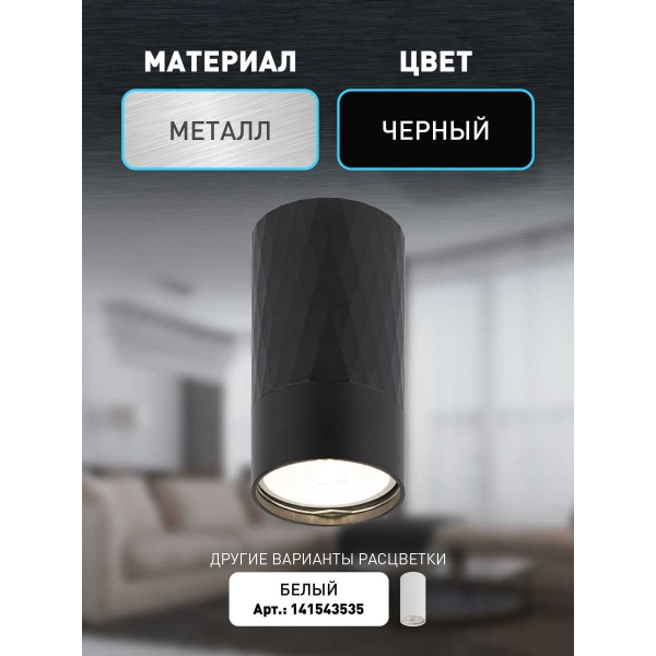 Настенно-потолочный светильник ЭРА OL31 BK Б0056374