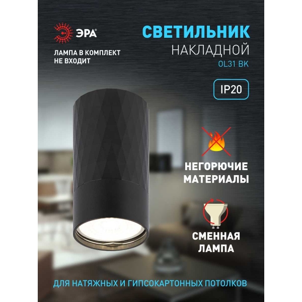 Настенно-потолочный светильник ЭРА OL31 BK Б0056374