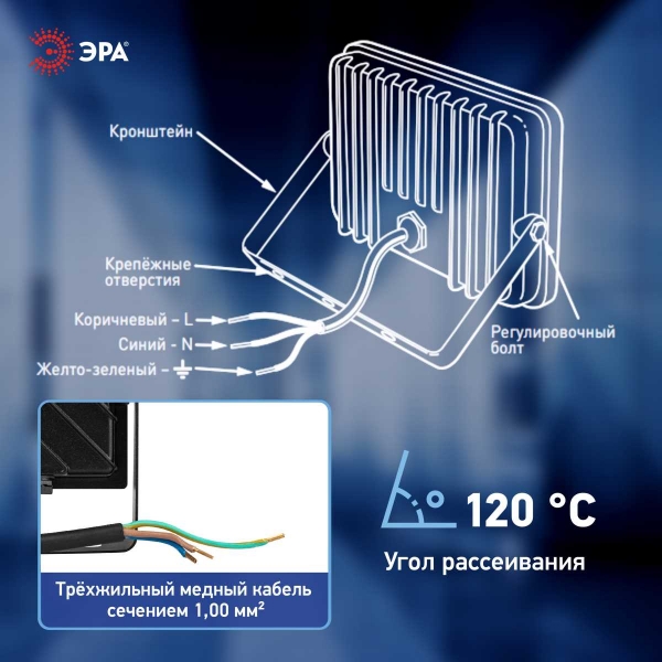 Прожектор светодиодный уличный ЭРА PRO LPR-062-0-65K-030 Б0064687