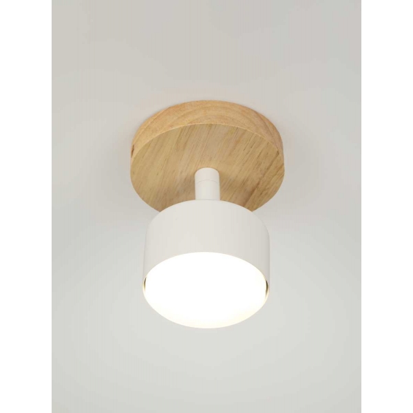 Спот Rivoli Vivian 7078-701 Б0069927