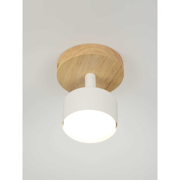 Спот Rivoli Vivian 7078-701 Б0069927