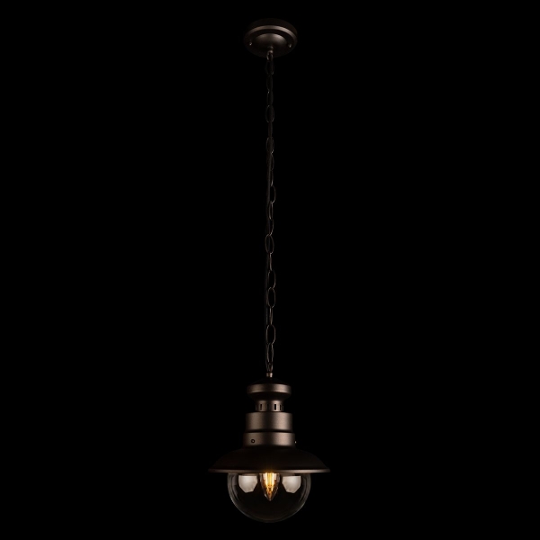 Уличный подвесной светильник Loft IT Piemonte 100022P